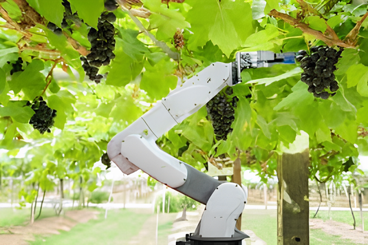 How can Robotics enable Precision Agriculture? (with examples)