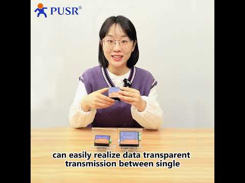 Load and play video in Gallery viewer, Serial to Ethernet - USR-TCP232-304