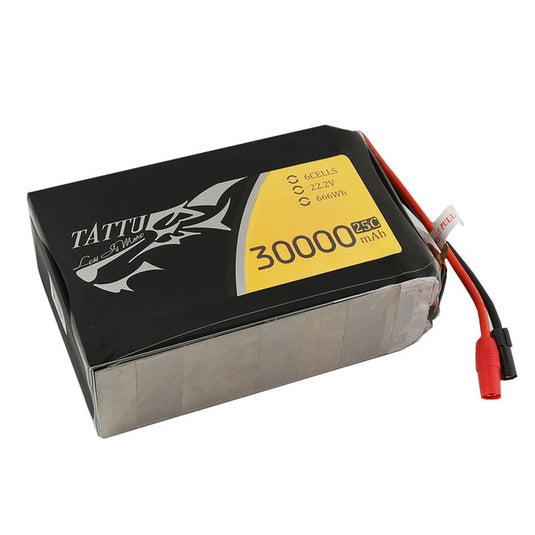 Tattu 22.2V 6S 25C Lipo Battery Pack Online