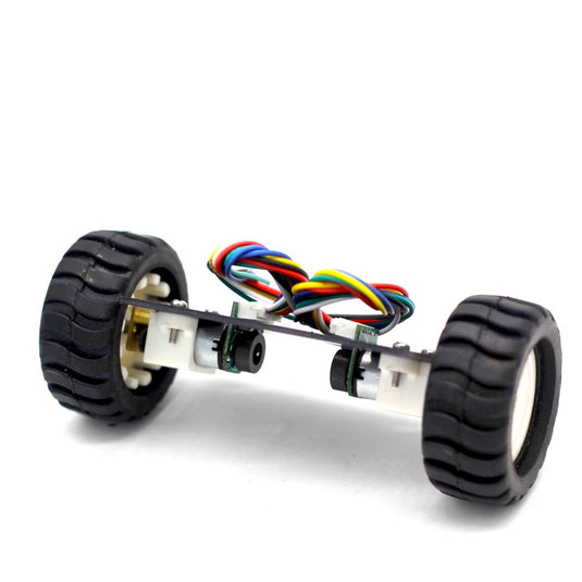 Mini Self-Balancing 2WD Robot Chassis with N20 Encoder Motors - ThinkRobotics.in