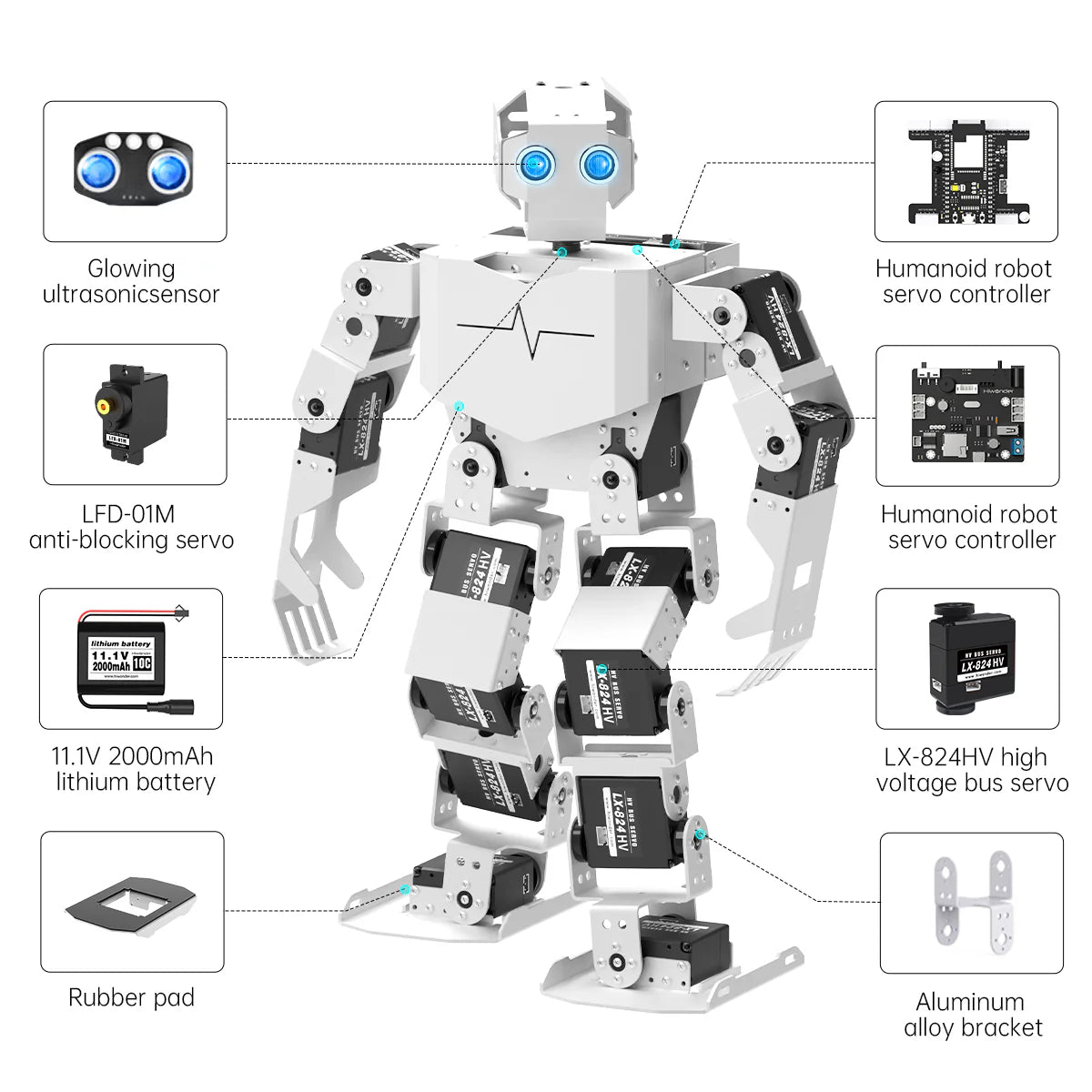 Hiwonder Tonybot Humanoid Robot with AI Vision & Voice Interaction