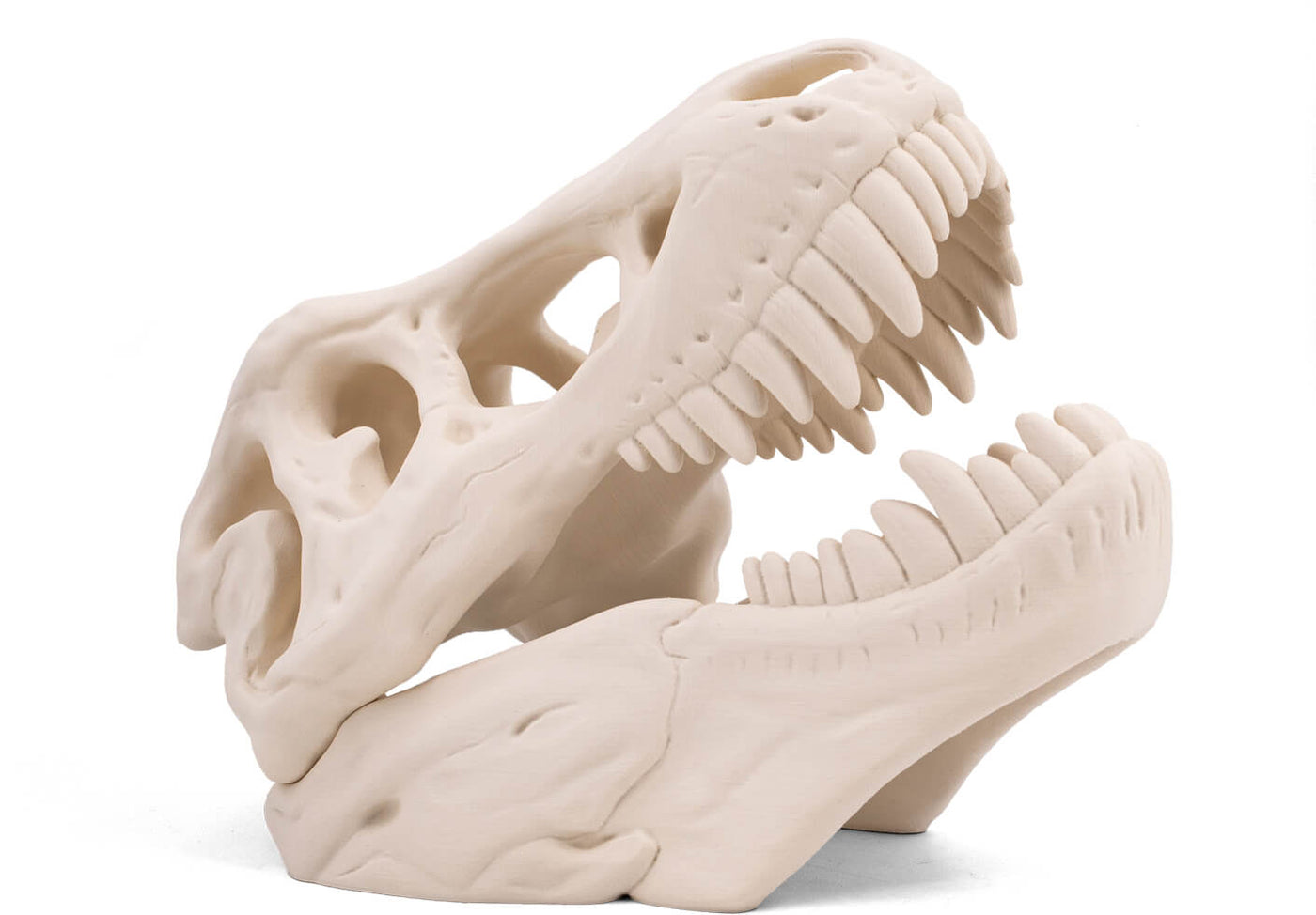 3DXTech SIMUBONE BONE MODELING FILAMENT