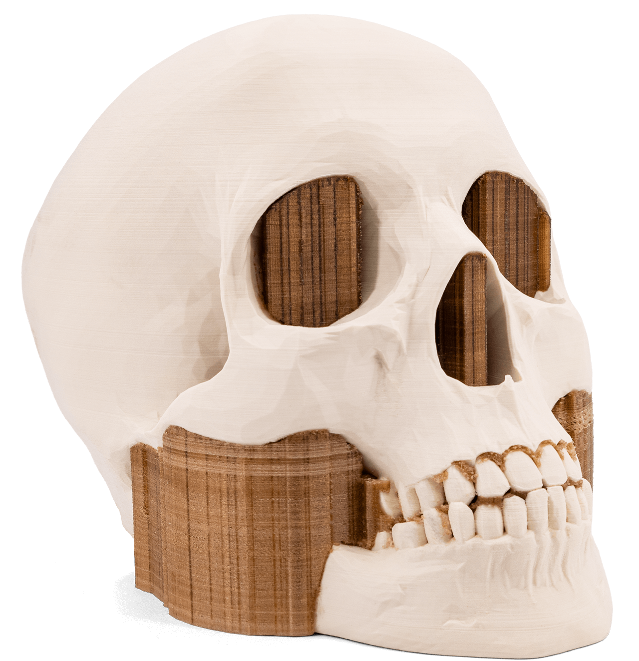 3DXTech SIMUBONE BONE MODELING FILAMENT