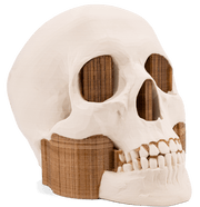 3DXTech SIMUBONE BONE MODELING FILAMENT