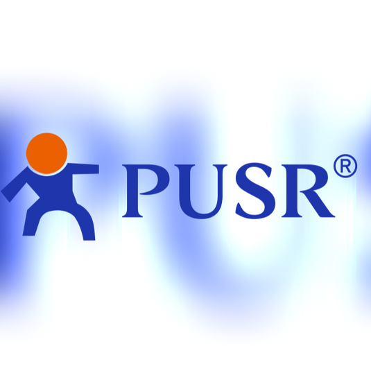 PUSR Corp | Official Page