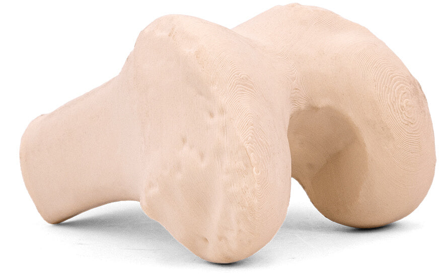 3DXTech SIMUBONE BONE MODELING FILAMENT