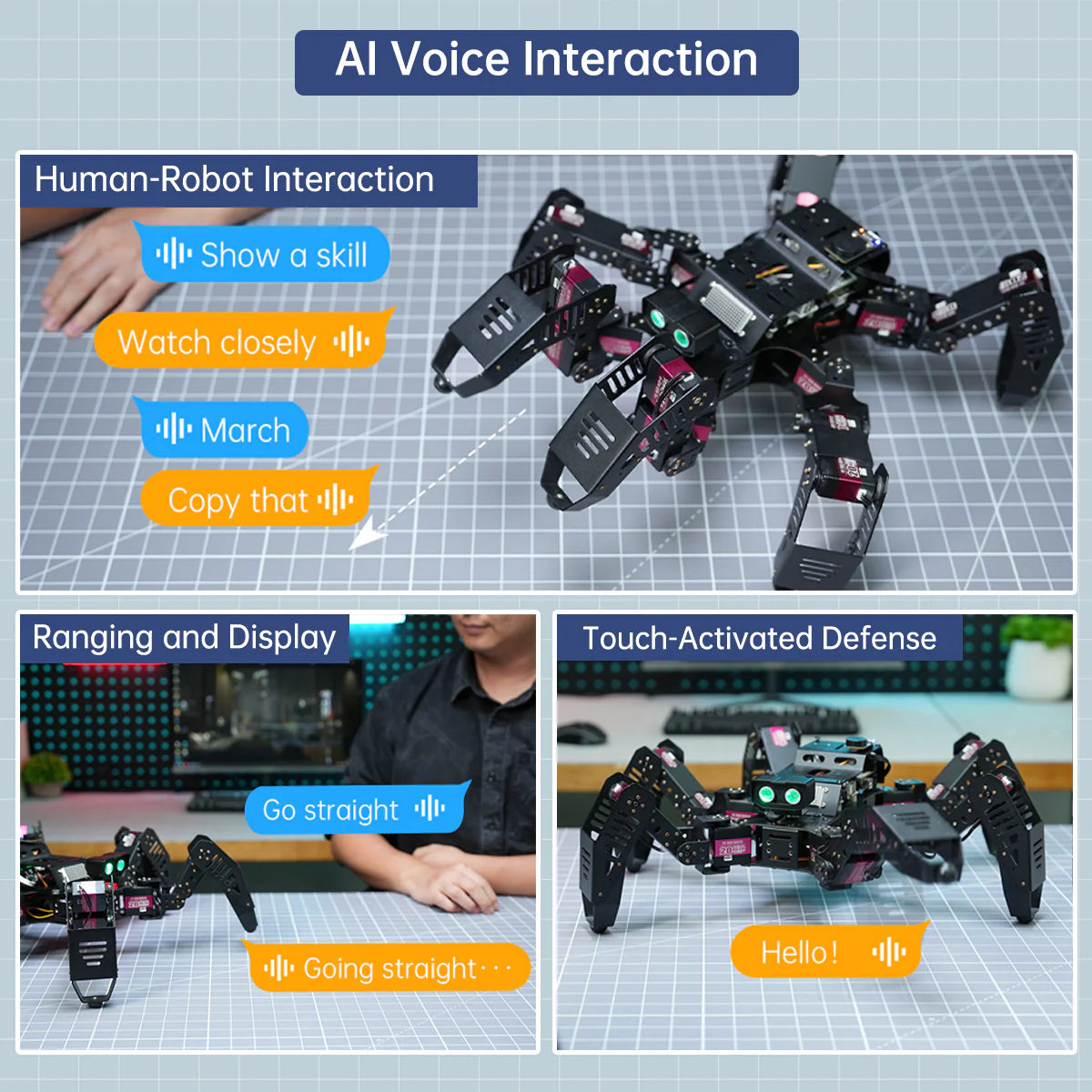 Spiderbot: Hiwonder Hexapod Programming Robot for Arduino