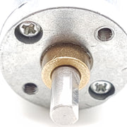 20mm Metal DC Gear Motors