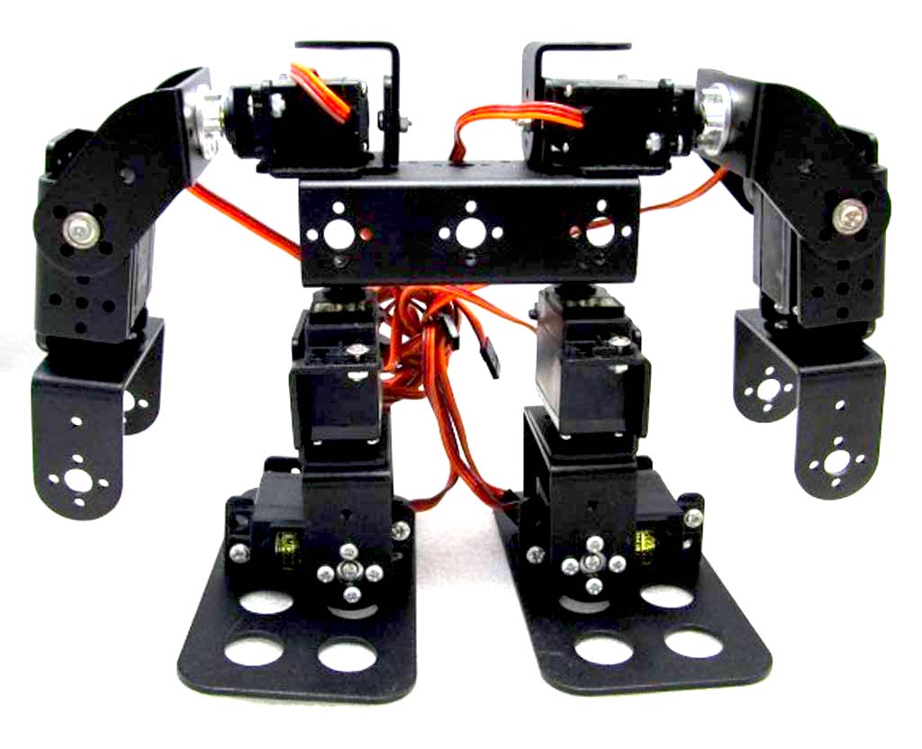 8DOF Humanoid Biped Robot