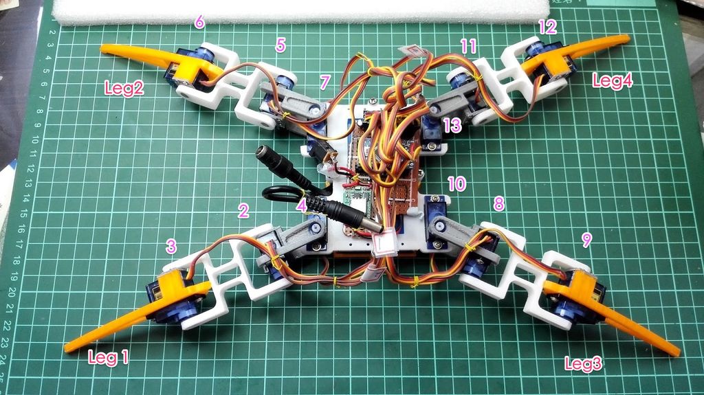 Quadruped Spider Robot Online